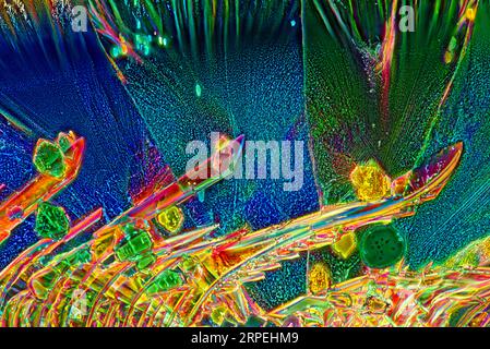 The image presents crystallized  mixture of urea and resorcinol, photographed through the microscope in polarized light at a magnification of 100X Stock Photo