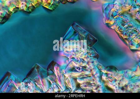 The image presents crystallized  mixture of sugar and salt, photographed through the microscope in polarized light at a magnification of 100X Stock Photo