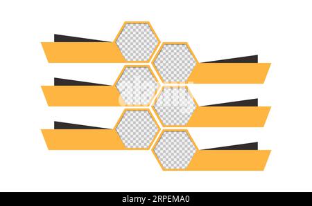 Infographic of hexagon honeycomb bee house Stock Vector
