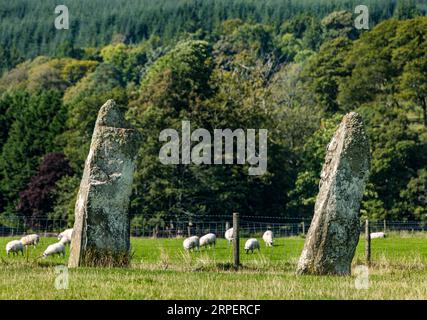 Nether Largie Standing stones ancient monument in grass field, Kilmartin Glen, Argyll, Scotland, UK Stock Photo