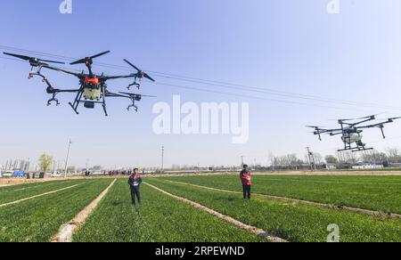 (190905) -- BEIJING, Sept. 5, 2019 -- People fertilize wheat with drones in Gucheng County, north China s Heibei Province, April. 1, 2019. Rural revitalization strategy was first put forward during the 19th National Congress of the Communist Party of China in 2017 and repeatedly stressed by the Chinese leadership since then. The strategy s overall goal is to build rural areas with thriving businesses, pleasant living environments, social etiquette and civility, effective governance, and prosperity. ) CHINA-RURAL DEVELOPMENT (CN) LixXiaoguo PUBLICATIONxNOTxINxCHN Stock Photo