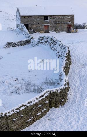 Stone barn and dry stone walls with views across the snow filled valley of Swaledale at Angram, Swaledale, Yorkshire Dales, North Yorkshire, UK in aut Stock Photo