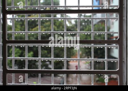 A window with raindrops on the grid. Stock Photo