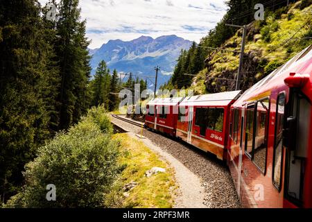 Red Bernina Express train winding its way to the peak of the Swiss Alps through dense green foliage and snowcapped mountains in the distance. Stock Photo