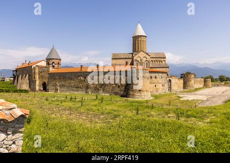 Alaverdi Monastery (Georgian ალავერდის მონასტერი) in Akhmeta Municipality, Kakheti region, Georgia is enclosed by a defensive wall with round towers. Behind the wall rises the Cathedral of Saint George with its drum and conical roof. On the left stands a round tower with a conical roof, possibly the bell tower. The monastery buildings have red tiled roofs. Young plants tied to stakes grow in the meadow in the foreground, possibly grapevines. Curved clay tiles lie on a wall remnant at front left. Mountains rise in the background, possibly the Greater Caucasus. More than a hundred different, ori Stock Photo