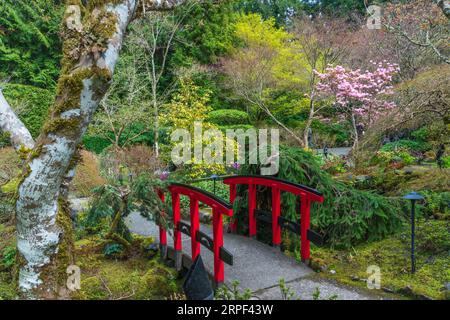 The spring season Japanese Garden at the Butchart Gardens, Victoria, Vancouver Island, British Columbia, Canada. Stock Photo