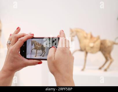 (190913) -- PARIS, Sept. 13, 2019 -- A visitor takes photos at an exhibition preview of the La Biennale Paris 2019 at the Grand Palais in Paris, France, Sept. 12, 2019. The 31st edition of La Biennale Paris kicked off on Friday at the Grand Palais in Paris. This year s exhibition attracted over 70 exhibitors showing their pieces of antique furniture, jewelry, paintings, clocks, watches, etc. ) FRANCE-PARIS-LA BIENNALE PARIS GaoxJing PUBLICATIONxNOTxINxCHN Stock Photo