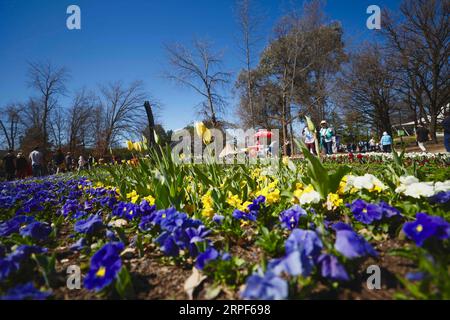 (190914) -- CANBERRA, Sept. 14, 2019 -- People visit Floriade, an annual flower and entertainment festival, at the Commonwealth Park in Canberra, Australia, Sept. 14, 2019. The festival opens from Sept. 14 to Oct. 13 in Canberra. (Photo by /Xinhua) AUSTRALIA-CANBERRA-FLORIADE ChuxChen PUBLICATIONxNOTxINxCHN Stock Photo