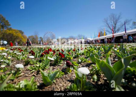 (190914) -- CANBERRA, Sept. 14, 2019 -- People visit Floriade, an annual flower and entertainment festival, at the Commonwealth Park in Canberra, Australia, Sept. 14, 2019. The festival opens from Sept. 14 to Oct. 13 in Canberra. (Photo by /Xinhua) AUSTRALIA-CANBERRA-FLORIADE ChuxChen PUBLICATIONxNOTxINxCHN Stock Photo