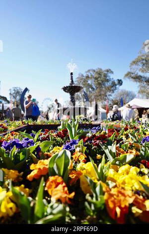 (190914) -- CANBERRA, Sept. 14, 2019 -- People visit Floriade, an annual flower and entertainment festival, at the Commonwealth Park in Canberra, Australia, Sept. 14, 2019. The festival opens from Sept. 14 to Oct. 13 in Canberra. (Photo by /Xinhua) AUSTRALIA-CANBERRA-FLORIADE ChuxChen PUBLICATIONxNOTxINxCHN Stock Photo