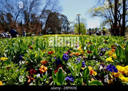 (190914) -- CANBERRA, Sept. 14, 2019 -- People visit Floriade, an annual flower and entertainment festival, at the Commonwealth Park in Canberra, Australia, Sept. 14, 2019. The festival opens from Sept. 14 to Oct. 13 in Canberra. (Photo by /Xinhua) AUSTRALIA-CANBERRA-FLORIADE ChuxChen PUBLICATIONxNOTxINxCHN Stock Photo