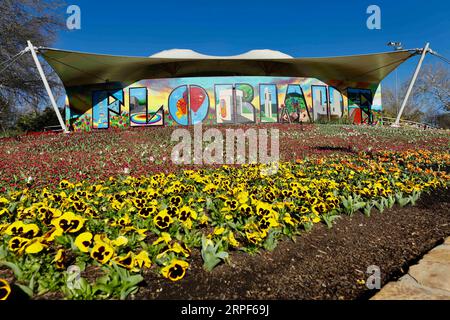 (190914) -- CANBERRA, Sept. 14, 2019 -- Photo taken on Sept. 14, 2019 shows flowers at Floriade, an annual flower and entertainment festival, at the Commonwealth Park in Canberra, Australia. The festival opens from Sept. 14 to Oct. 13 in Canberra. (Photo by /Xinhua) AUSTRALIA-CANBERRA-FLORIADE ChuxChen PUBLICATIONxNOTxINxCHN Stock Photo