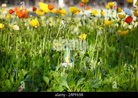 (190914) -- CANBERRA, Sept. 14, 2019 -- Photo taken on Sept. 14, 2019 shows flowers at Floriade, an annual flower and entertainment festival, at the Commonwealth Park in Canberra, Australia. The festival opens from Sept. 14 to Oct. 13 in Canberra. (Photo by /Xinhua) AUSTRALIA-CANBERRA-FLORIADE ChuxChen PUBLICATIONxNOTxINxCHN Stock Photo