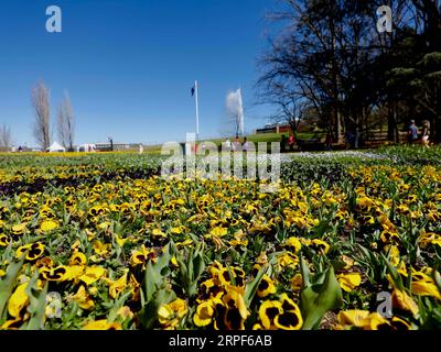 (190914) -- CANBERRA, Sept. 14, 2019 -- People visit Floriade, an annual flower and entertainment festival, at the Commonwealth Park in Canberra, Australia, Sept. 14, 2019. The festival opens from Sept. 14 to Oct. 13 in Canberra. (Photo by /Xinhua) AUSTRALIA-CANBERRA-FLORIADE ChuxChen PUBLICATIONxNOTxINxCHN Stock Photo