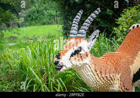 Zoo Planckendael, Mechelen, Belgium - Aug 29, 2023: Brick Safari and Animal Expo built with Lego bricks. Thomson Gazelle. Stock Photo