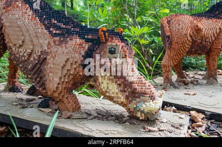 Zoo Planckendael, Mechelen, Belgium - Aug 29, 2023: Brick Safari and Animal Expo built with Lego bricks. Warthogs. Stock Photo