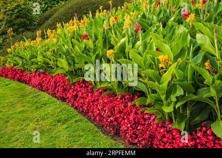 View of a beautiful garden with grass lawn and flowers in bloom. Lush landscaped garden with colourful flowerbeds in a summer. Attractive English Form Stock Photo