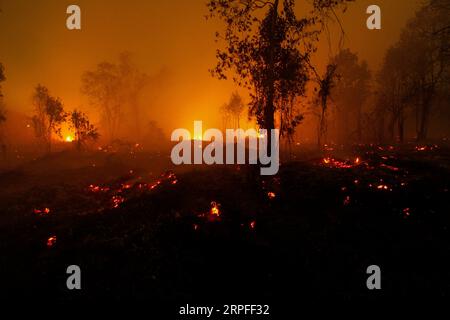 190923 -- BEIJING, Sept. 23, 2019 -- Photo taken on Sept. 22, 2019 shows a forest fire in Kampar, Riau province, Indonesia. Photo by /Xinhua XINHUA PHOTOS OF THE DAY HadlyxVavaldi PUBLICATIONxNOTxINxCHN Stock Photo