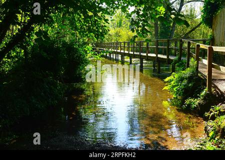 Footbridge over the Test leading from Wherwell to Chilbolton Cow Common Stock Photo