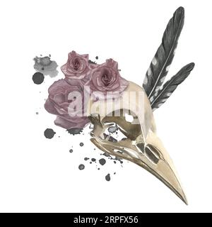 Watercolor illustration of crow skull, roses, cuckoo feathers and ink blots. Isolated on white background hand drawn Stock Photo