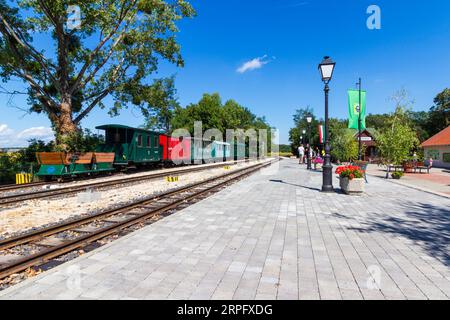 Nagycenki Szechenyi Muzeumvasut narrow gauge railway, Kastely station with different historic carriages on display, Nagycenk, Hungary Stock Photo