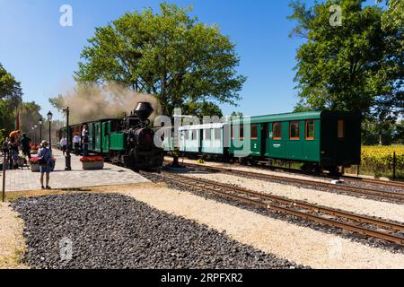 Nagycenki Szechenyi Muzeumvasut narrow gauge railway. Passenger train pulled by 'Andras' steam locomotive at Kastely station, Nagycenk, Hungary Stock Photo