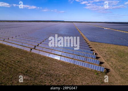 Aerial view of solar panels at a modern solar power plant that generates renewable electricity on a sunny summer day in the Cerrado of Brazil. Stock Photo