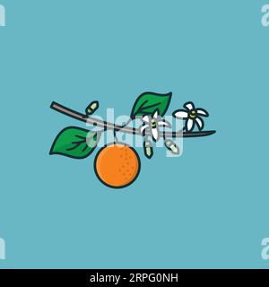 orange tree twig with fruit and flowers vector illustration for Orange Blossom Day on June 27 Stock Vector