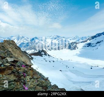 Mountain view from the Karlesjoch bahn upper station (3108m., near Kaunertal Gletscher on Austria-Italy border) with alp flowers  over cable ski lift Stock Photo