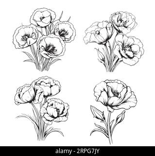 Eustoma bouquet sketch hand drawn in comic style.Vector Garden flowers Stock Vector