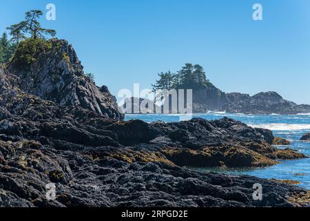 Pacific Ocean view along Wild Pacific Trail or Lighthouse Loop, Ucluelet, Pacific Rim national park, Canada. Stock Photo