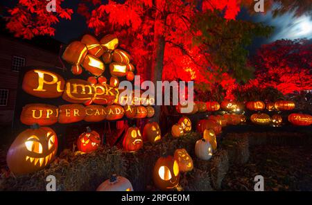 191013 -- MORRISBURG, Oct. 13, 2019 -- Handcraft pumpkin carvings are seen during the 2019 Pumpkinferno at Upper Canada Village in Morrisburg, Ontario, Canada, Oct. 12, 2019. Photo by Zou Zheng/Xinhua CANADA-ONTARIO-MORRISBURG-PUMPKINFERNO ZouxZhuo PUBLICATIONxNOTxINxCHN Stock Photo