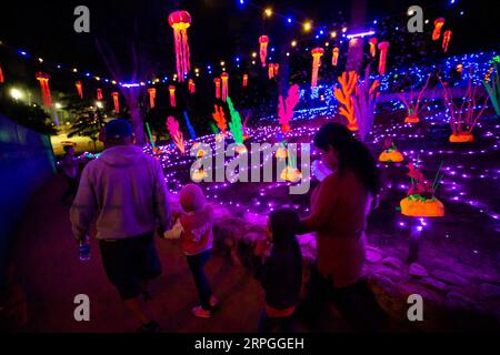 191015 -- LOS ANGELES, Oct. 15, 2019 -- People view exhibits at Pumpkin Night in Los Angeles, the United States, on Oct. 14, 2019. Photo by /Xinhua U.S.-LOS ANGELES-PUMPKIN NIGHT QianxWeizhong PUBLICATIONxNOTxINxCHN Stock Photo