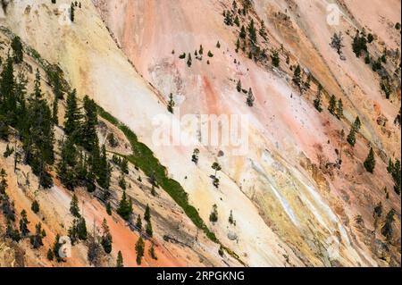 The vibrant colours of the walls of the Grand Canyon of Yellowstone in Yellowstone National Park Stock Photo