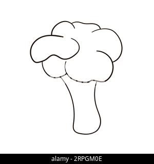 Broccoli line icon. Broccoli in line art. Broccoli vector illustration. Stock Vector