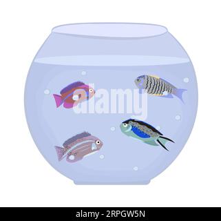 Aquarium with four different fish, color vector illustration Stock Vector