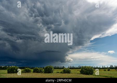 Violent thunderstorm front with threatening cloud formation, where some mammatus clouds have formed and from which rain is partly falling, over a flat Stock Photo