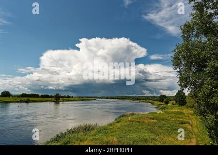 View along the German-Polish border river Oder to a big thunderstorm front, from which partly rain falls, sunny weather, green river bank with trees, Stock Photo