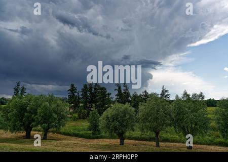A large gray threatening thunderstorm front is moving in, at the shooting location the sun is still shining, in the foreground trees and meadow area - Stock Photo