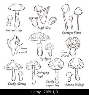 Inedible Mushroom collection icons in line art, outline style. Fly Agaric, Autumn Skullcap, Deadly Webcap, False Morel, Poison fire coral. Vector Stock Vector