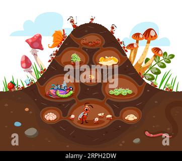 Cartoon anthill colony at soil. Funny ant characters. Isolated vector insects in formicary consisting of tunnels and chambers filled with foods, larvas or aphids. Each ant has specific roles and tasks Stock Vector