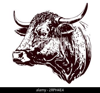 buffalo portrait logo sketch hand drawn Vector Stock Vector Image & Art ...