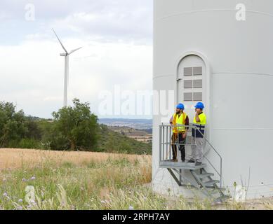 Two technical workers observe a field of wind turbines. Renewable energy, technical workers Stock Photo