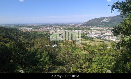 ountains in clouds at sunrise in summer. Aerial view of mountain peak with green trees Stock Photo