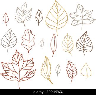 Set of vector illustration of leaves of maple, oak, birch in cozy autumn colors. Isolated objects for scrapbooking, textile or book covers, wallpapers Stock Vector