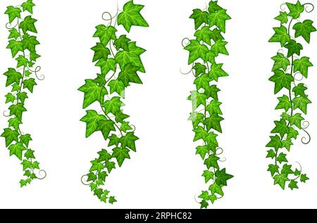 Hanging creeper branch set. Green natural vines Stock Vector