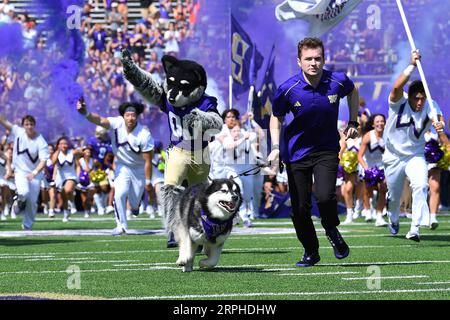 Seattle, WA, USA. 02nd Sep, 2023. The Washington Husky mascot Dubs leads the team onto the field before during the NCAA football game between the Boise State Broncos and Washington Huskies at Husky Stadium in Seattle, WA. Steve Faber/CSM/Alamy Live News Stock Photo