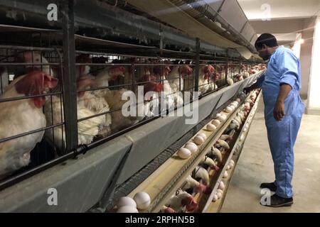 191113 -- CAIRO, Nov. 13, 2019 Xinhua -- A prisoner works in Tora Prisons Complex on the outskirt of Cairo, Egypt, Nov. 11, 2019. The third Forum for Egyptian Prisons was held on Monday. TO GO WITH Feature: Egypt helps prisoners reshape life via jobs in production industries Xinhua/Ahmed Gomaa EGYPT-CAIRO-FORUM FOR EGYPTIAN PRISONS PUBLICATIONxNOTxINxCHN Stock Photo