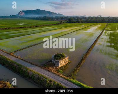 Paddy field during sunrise at Kedah state of Malaysia Stock Photo - Alamy