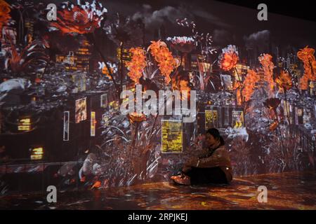 191213 -- CHANGSHA, Dec. 13, 2019 -- A woman visits a multimedia art show in Changsha Meixihu International Culture & Arts Centre in Changsha, central China s Hunan Province, Dec. 12, 2019. The interactive art show combines technology and art, attracting many visitors.  CHINA-CHANGSHA-MULTIMEDIA ART SHOW CN XuexYuge PUBLICATIONxNOTxINxCHN Stock Photo